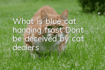What is blue cat hanging frost? Don’t be deceived by cat dealers!