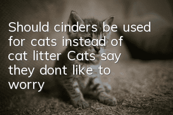 Should cinders be used for cats instead of cat litter? Cats say they don’t like to worry about urinary tract infections!