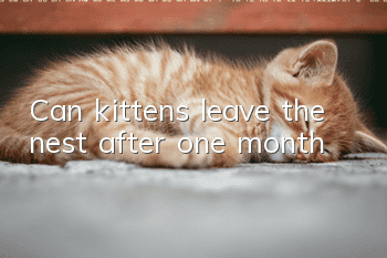 Can kittens leave the nest after one month?