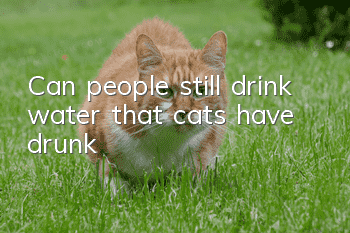 Can people still drink water that cats have drunk?