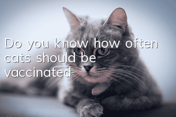 Do you know how often cats should be vaccinated?
