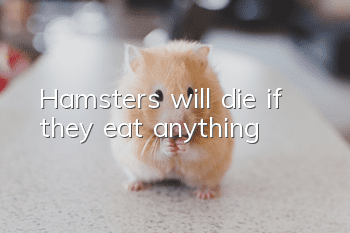 Hamsters will die if they eat anything