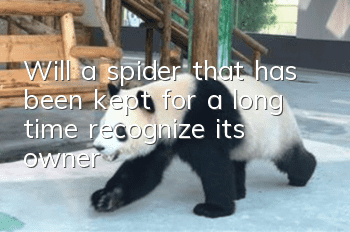 Will a spider that has been kept for a long time recognize its owner?