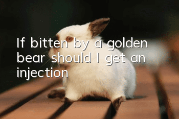 If bitten by a golden bear, should I get an injection?