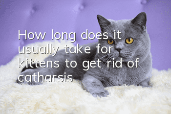 How long does it usually take for kittens to get rid of catharsis?