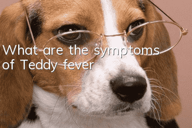 What are the symptoms of Teddy fever?