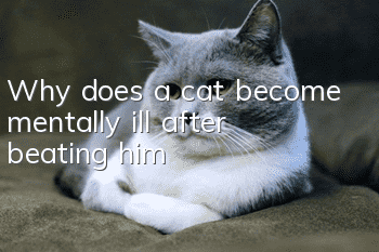 Why does a cat become mentally ill after beating him?