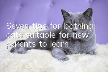 Seven tips for bathing cats (suitable for new parents to learn)