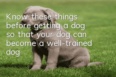 Know these things before getting a dog so that your dog can become a well-trained dog