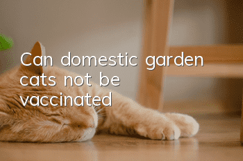 Can domestic garden cats not be vaccinated?