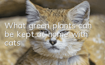 What green plants can be kept at home with cats?