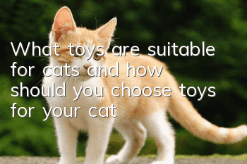 What toys are suitable for cats, and how should you choose toys for your cat?