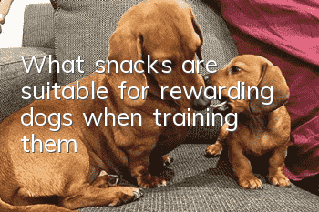 What snacks are suitable for rewarding dogs when training them?