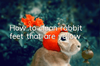 How to clean rabbit feet that are yellow?