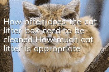 How often does the cat litter box need to be cleaned? How much cat litter is appropriate?