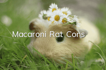 Macaroni Rat Cons