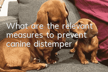 What are the relevant measures to prevent canine distemper?