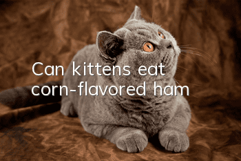 Can kittens eat corn-flavored ham?