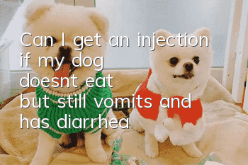 Can I get an injection if my dog doesn’t eat but still vomits and has diarrhea?