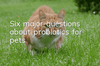 Six major questions about probiotics for pets!