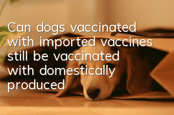 Can dogs vaccinated with imported vaccines still be vaccinated with domestically produced vaccines?