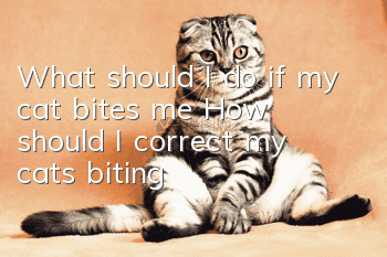 What should I do if my cat bites me? How should I correct my cat’s biting?