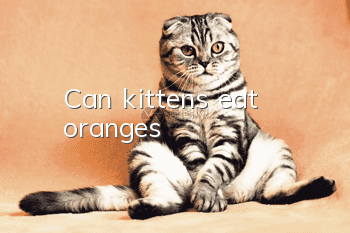 Can kittens eat oranges?