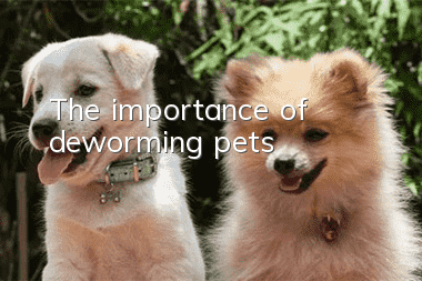 The importance of deworming pets