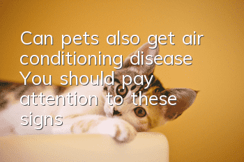 Can pets also get air conditioning disease? You should pay attention to these signs!