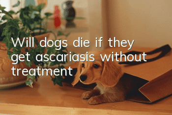 Will dogs die if they get ascariasis without treatment?
