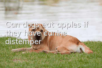 Can dogs eat apples if they have canine distemper?