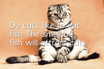 Do cats like to eat fish? The smell of fish will attract cats