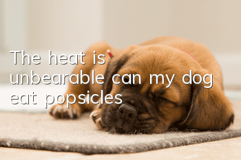 The heat is unbearable, can my dog eat popsicles?