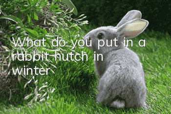 What do you put in a rabbit hutch in winter?