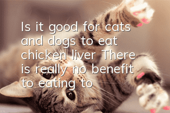 Is it good for cats and dogs to eat chicken liver? There is really no benefit to eating too much.