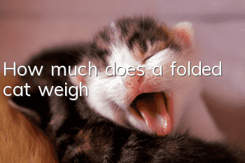 How much does a folded cat weigh?