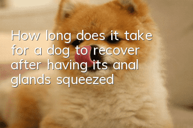 How long does it take for a dog to recover after having its anal glands squeezed?