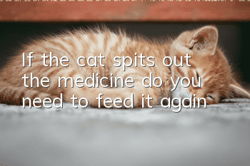 If the cat spits out the medicine, do you need to feed it again?