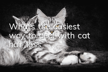 What’s the easiest way to deal with cat hair loss?