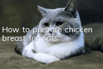 How to prepare chicken breast for cats?