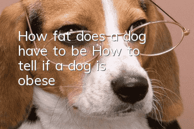 How fat does a dog have to be? How to tell if a dog is obese?