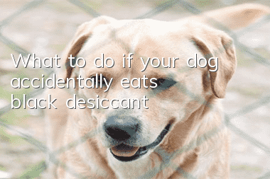 What to do if your dog accidentally eats black desiccant