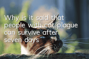Why is it said that people with cat plague can survive after seven days?