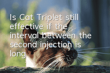 Is Cat Triplet still effective if the interval between the second injection is long?