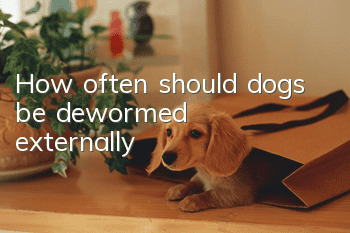 How often should dogs be dewormed externally?