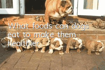 What foods can dogs eat to make them healthier?