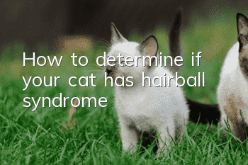 How to determine if your cat has hairball syndrome?