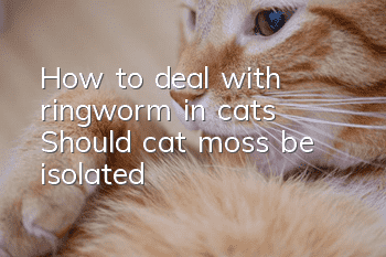 How to deal with ringworm in cats? Should cat moss be isolated?