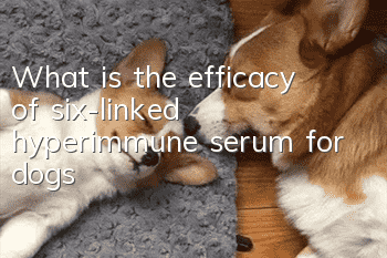 What is the efficacy of six-linked hyperimmune serum for dogs?