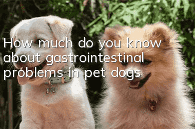 How much do you know about gastrointestinal problems in pet dogs?